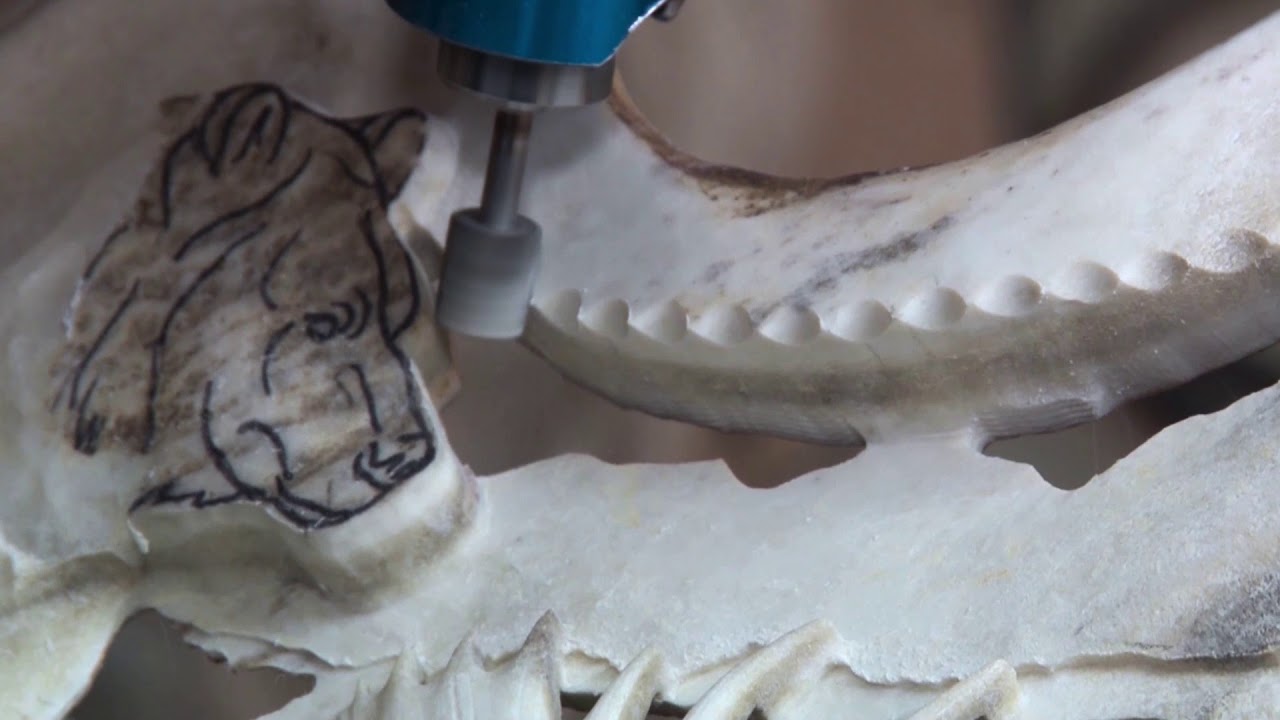 Antler carving YouTube