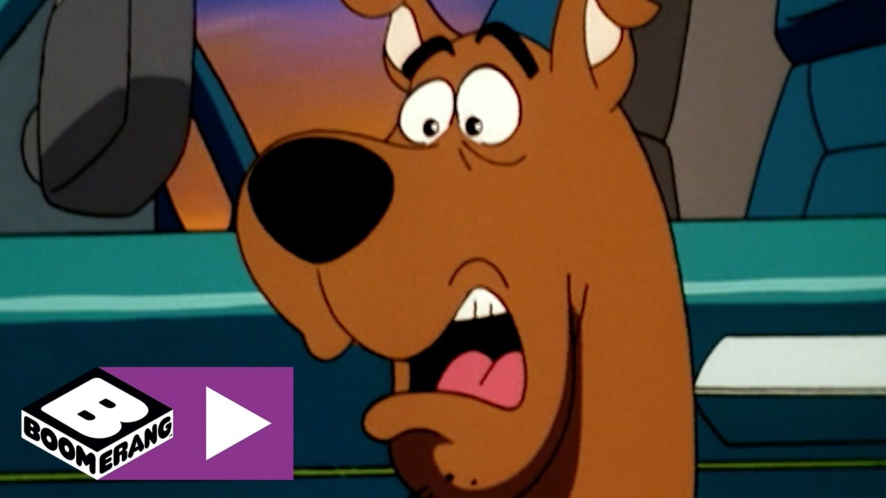 antenne krone det kan Scooby Doo | Top 3 Dyr der gør Scooby Bange | Boomerang Danmark - YouTube