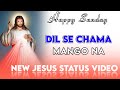 HAPPY SUNDAY ✝️ // NEW WHATSAPP STATUS VIDEO //  JESUS SADRI SONG 2023✝️