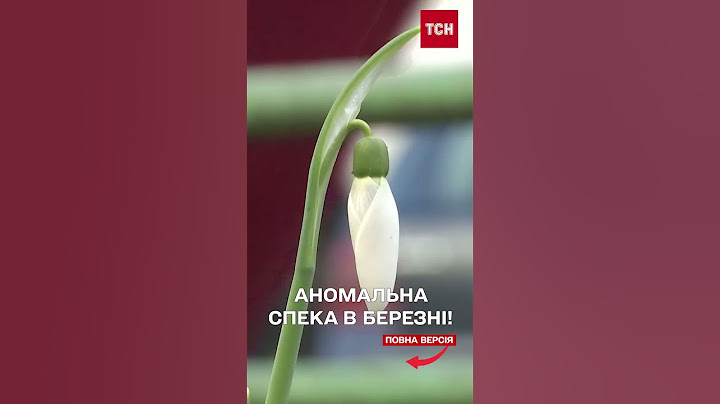 МАЙЖЕ ЛІТО! Неочікуваний ПРОГНОЗ ПОГОДИ на початок БЕРЕЗНЯ!
