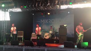 Mikroboy - Herzen aus Holz (Greenville/2012)