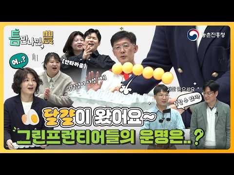 연구원들의 숨겨진 예능감 폭발?! 그린프런티어들의 치열한 달걀판 게임🥚｜틈만나면농