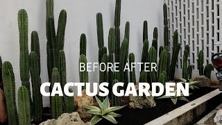 Cactus Garden | Taman Kaktus Tanpa Duri Lucu Deh | By Shop with Sky