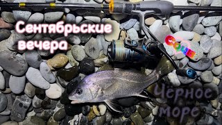 видео: Ночь на Черном море. Кто клюнет следующим? Отводной поводок против горбыля, скорпены и ласкиря #рыба картинка: Ночь на Черном море. Кто клюнет следующим? Отводной поводок против горбыля, скорпены и ласкиря #рыба