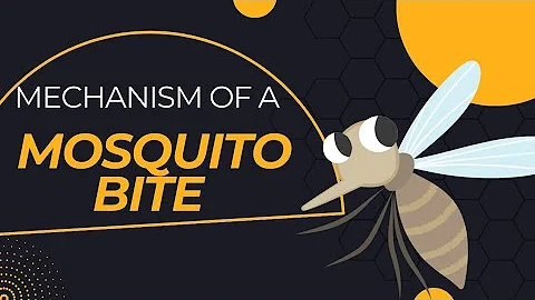 Mechanism of a MOSQUITO Bite @TheRealVHS @GetSetFly @NatGeo
