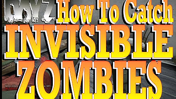 Dayz Standalone - Invisible Zombies - How to get rid of them..