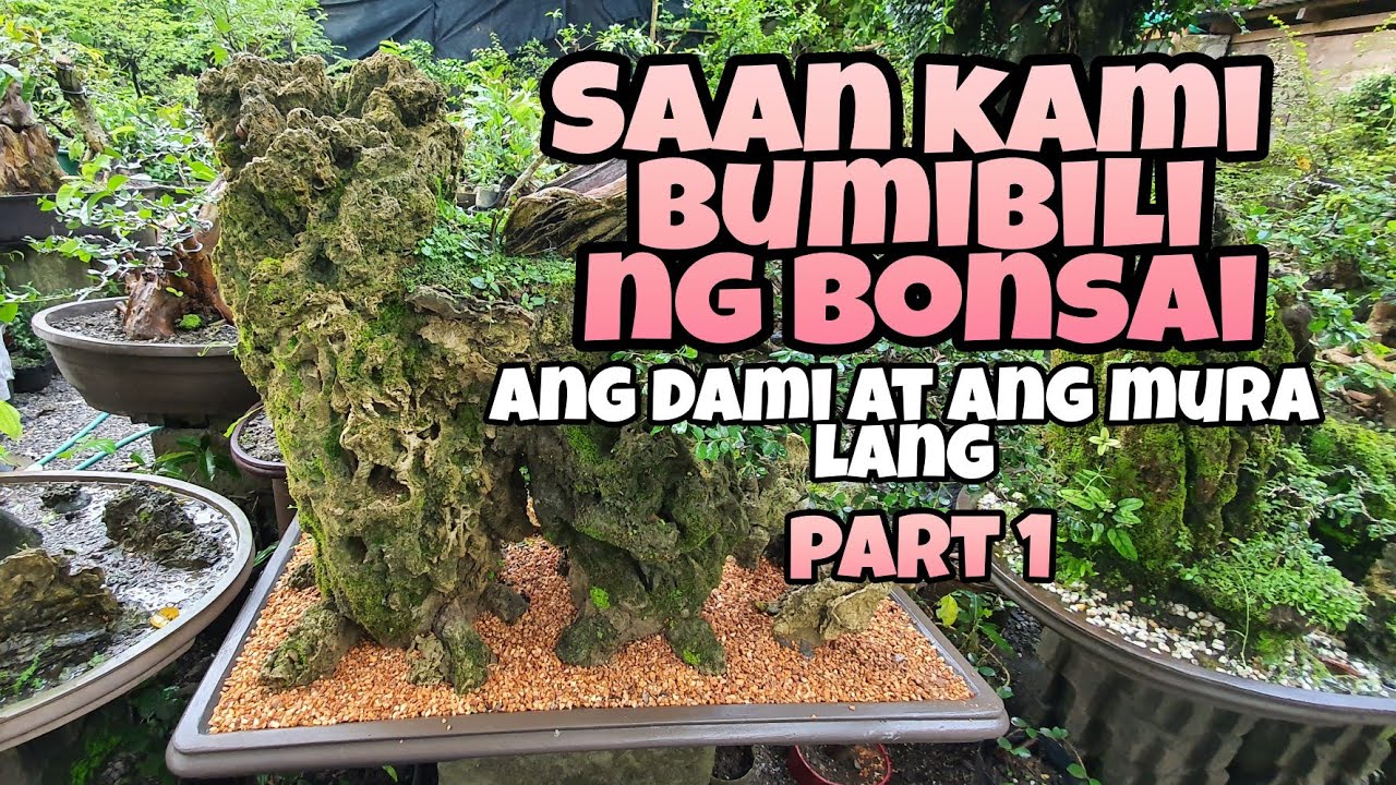 SAAN KAMI BUMIBILI NG MURANG BONSAI? SOBRANG DAMI NG BONSAI !!😊👩‍🌾👨‍🌾  PART 1