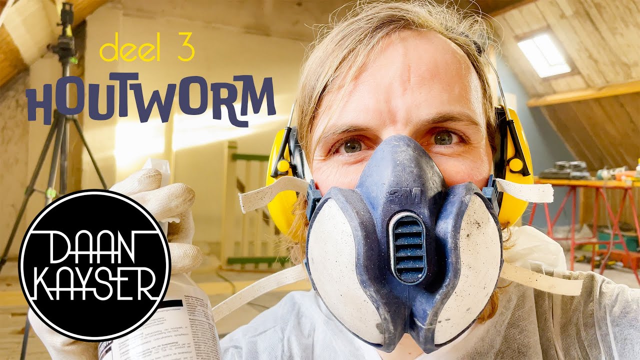 100 jaar oud huis deel 3, houtworm