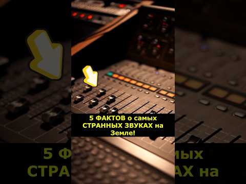 5 фактов о самых странных звуках на Земле! #WowФакт #Интересно #Звук #wowfacts