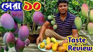 পটিং মিডিয়ার ভুল পুড়ছে পাতা, আসছে রোগ। কিভাবে ঠিক হবে? এই মুহূর্তে আমের সেরা 10টি জাত।