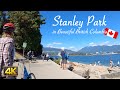 Stanley Park by Bicycle in 4K | Vancouver Canada