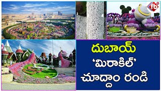 Dubai miracle garden | 2020 disneyland of flowers fb tv asvi media