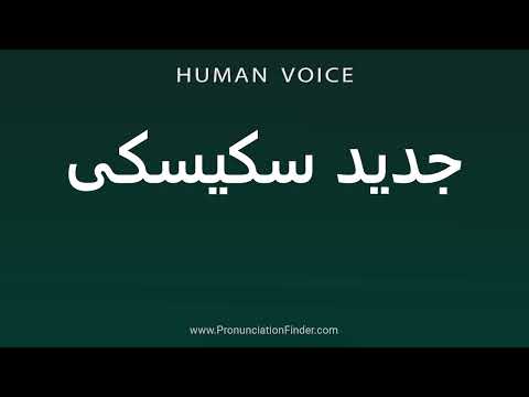    جدید سکیسکی