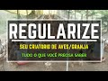 Como regularizar seu Criatorio com menos de 1000 aves, ou granja acima de 1000 | Criatório Neves