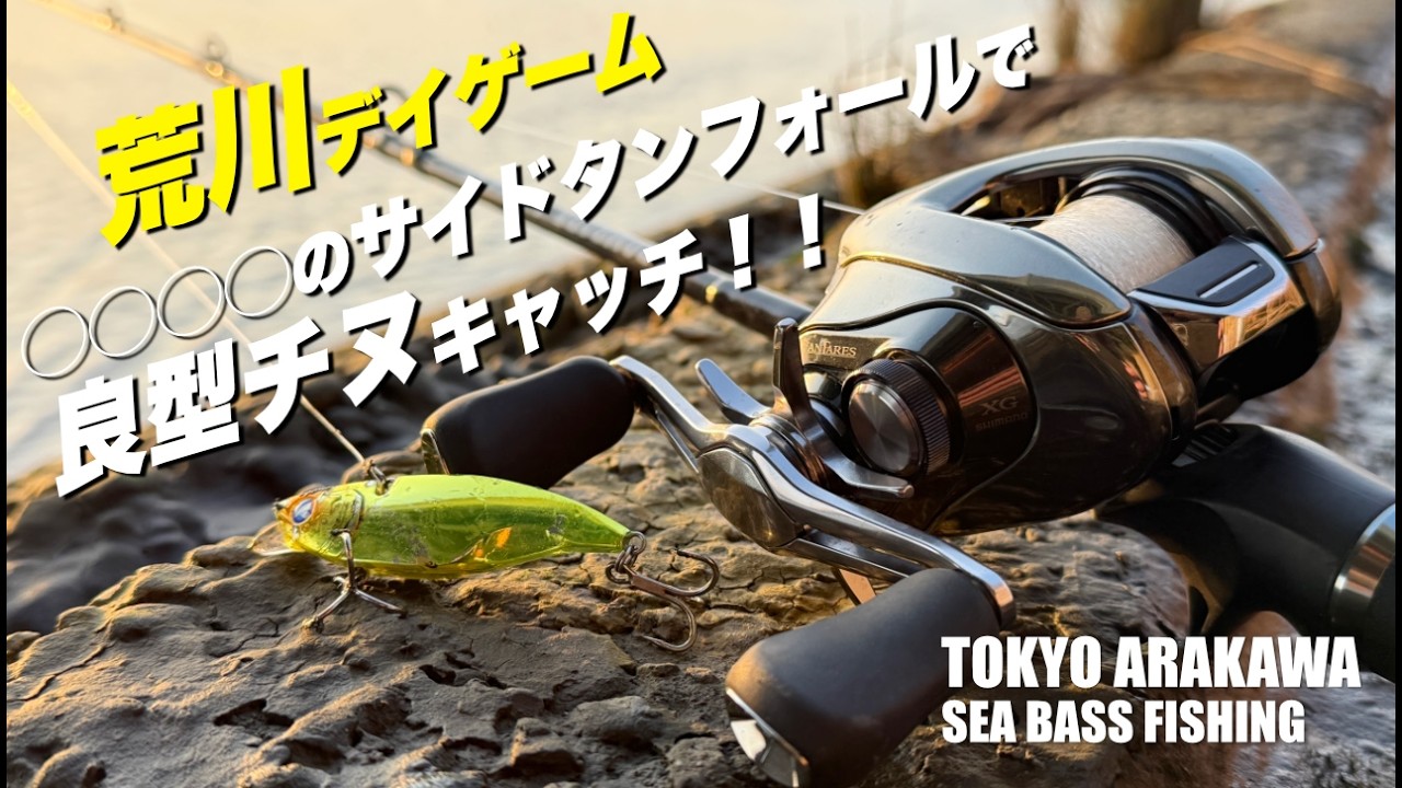 【荒川シーバス釣りVlog - 2026.2.23】荒川デイゲーム｜ナレージのサイドターンフォールで良型チヌキャッチ!!