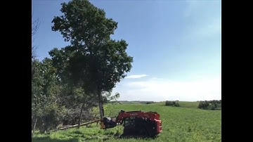 TMK 400 Tree Shear on skid steer demo by Swift Fox Industries