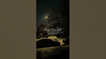 حالات واتس اب قرآن كريم | ارح قلبك واستمع | 🕊️✨