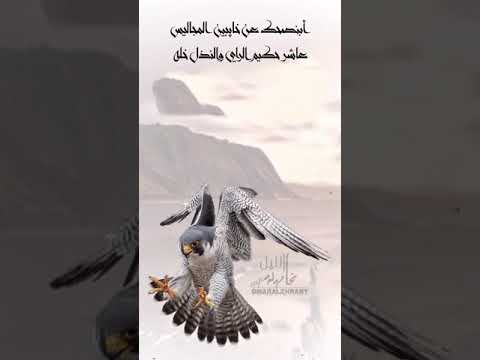 شيله الفقر ماهو عيب تدري وش العيب أنك غني والبيت محد يدله