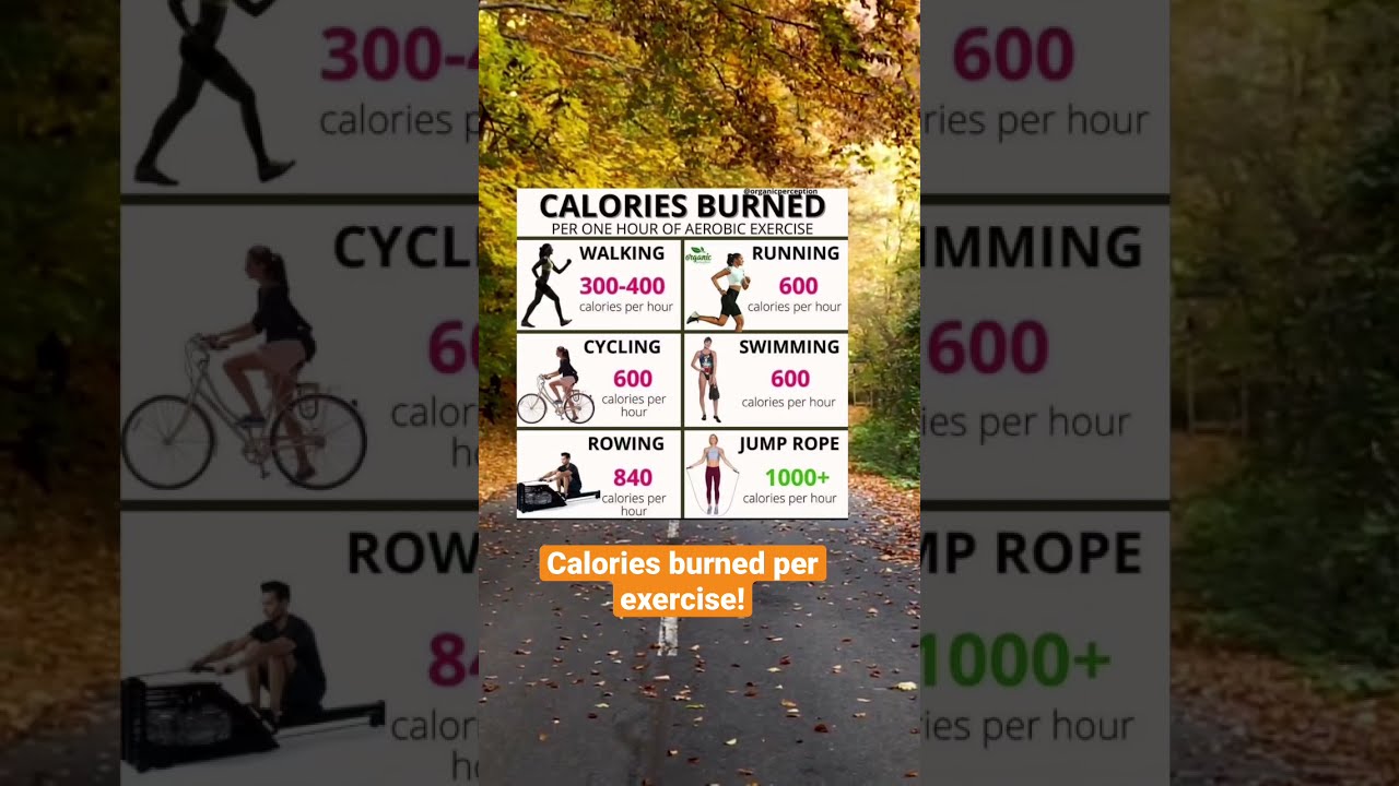 Calories Burned Per Hour Shorts