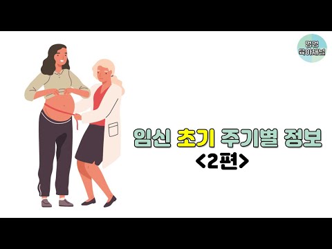 임신 초기 정보 공유해요 (8주부터 12주까지)