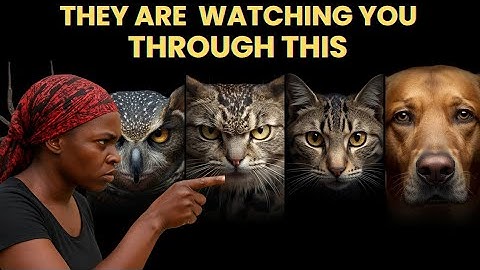 Ex-Witch Exposes How to Detect An Insect or Animal Sent by Witchcraft to Monitor You 