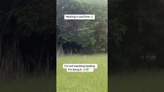 Joy Is Medicine | A Walk With Nature 🌿✨