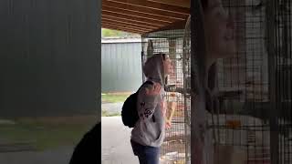 Woman Screams At Bird And It Screams Back And Other Says Hi