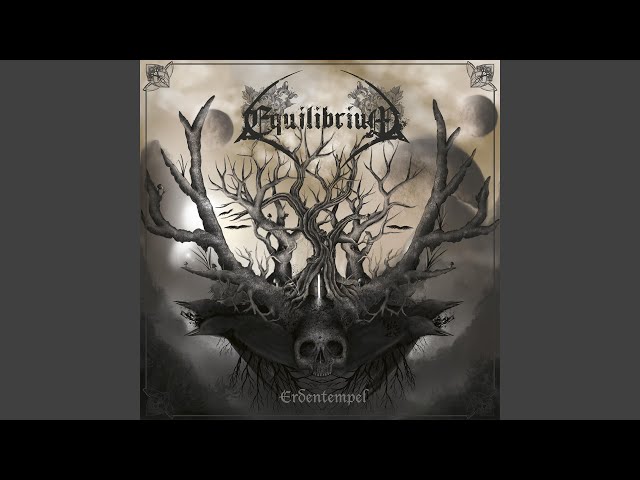 Equilibrium - Wellengang