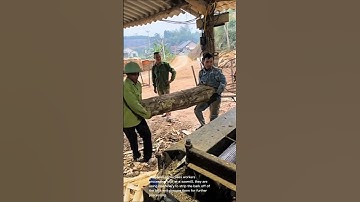 Log processing at sawmill: workers using machinery to strip bark off logs for further processing