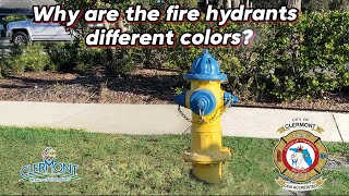 Celebrity Burning question, Why are fire hydrants painted different colors? #clermontfl #clermontflorida Net Worth