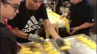 High-Speed Empanadas Machine Ref 3600 | 3600 Units per Hour for Commercial Use Net Worth