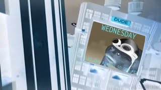 Crazy Dude - Axel W Effects 2