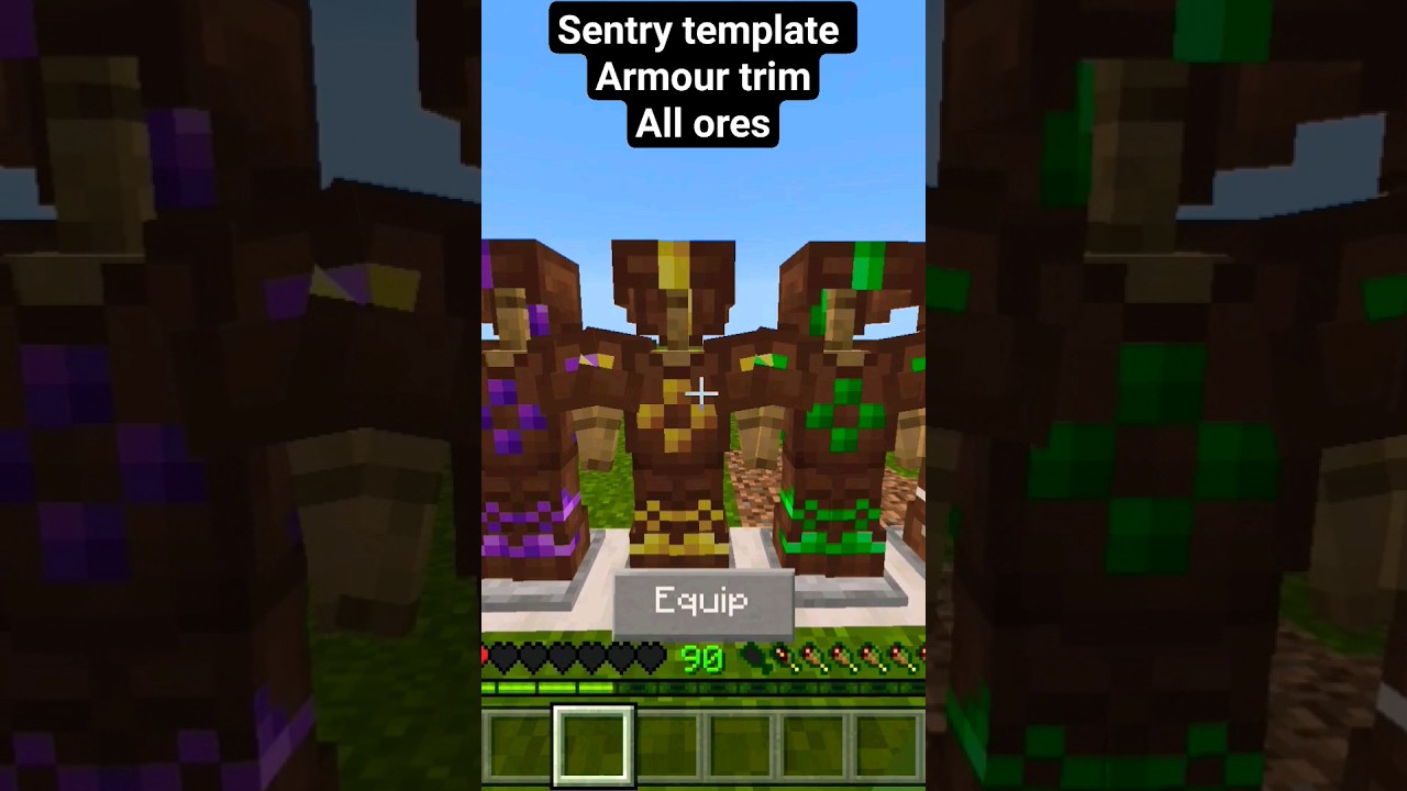 Sentry armour trim leather armour 