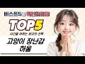 고양이 용품 하울: 캣닢, 마따따비 장난감  스프레이 후기