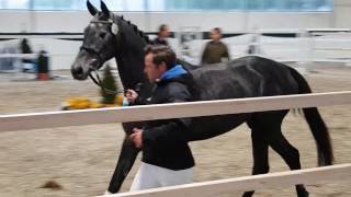 Flippy Cash Geb. 2013 V. Cash & Carry A.d. Z-Paula V. Cini Ii X Lennon - Hol.1525