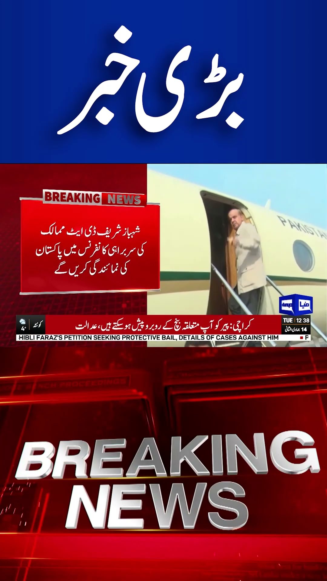 Prime Minister Important Official Visit to Egypt | Shahbaz Sharif | Dunya News #shortsnews
