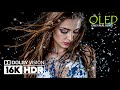 16K Video Dolby Vision Demo - Best 16K HDR (4K Video ULTRA HD) #4k #16kvideo
