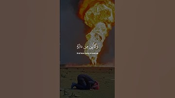 ﴿ الذينَ صبَرُوا وعَلى ربِهم يتوكَلُون ﴾ سوره العنكبوت، عبدالرحمن مسعد #قرآن #ارح_قلبك #قران_كريم
