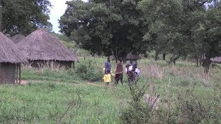 Advances in forest tenure reform in Uganda