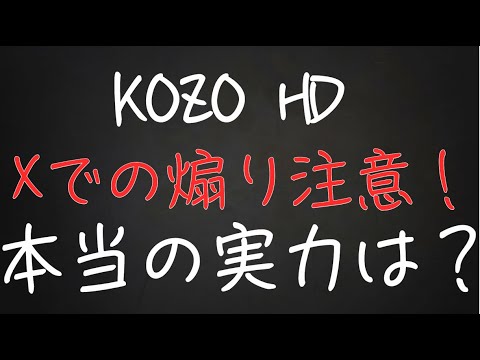 【9973KOZOホールディングス】警告！Xの煽りに騙されるな！本当の実力を徹底解剖