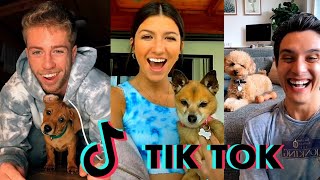 Dogs always React to this sound - Tiktok Challenge Compilation