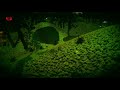 Unity 2020 ,Environmental Evolution Dyno Survival Level WEB GL, Windows 2021 11 07 14 38 24