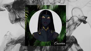 Fractal Mirrors - Cacería 🌴😈🔥