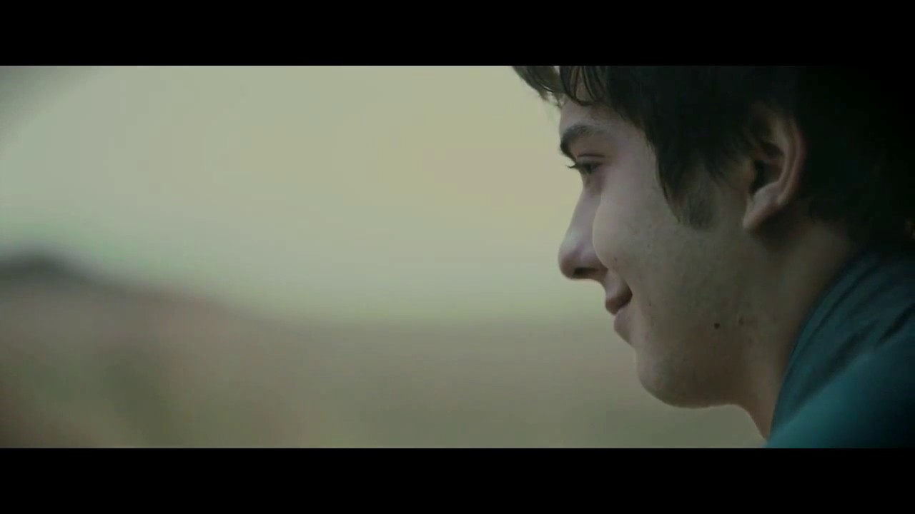 Forest приложение. рихард круспе emigrate. лес мбильныеприложения. Yesterday broken. группа emigrate.