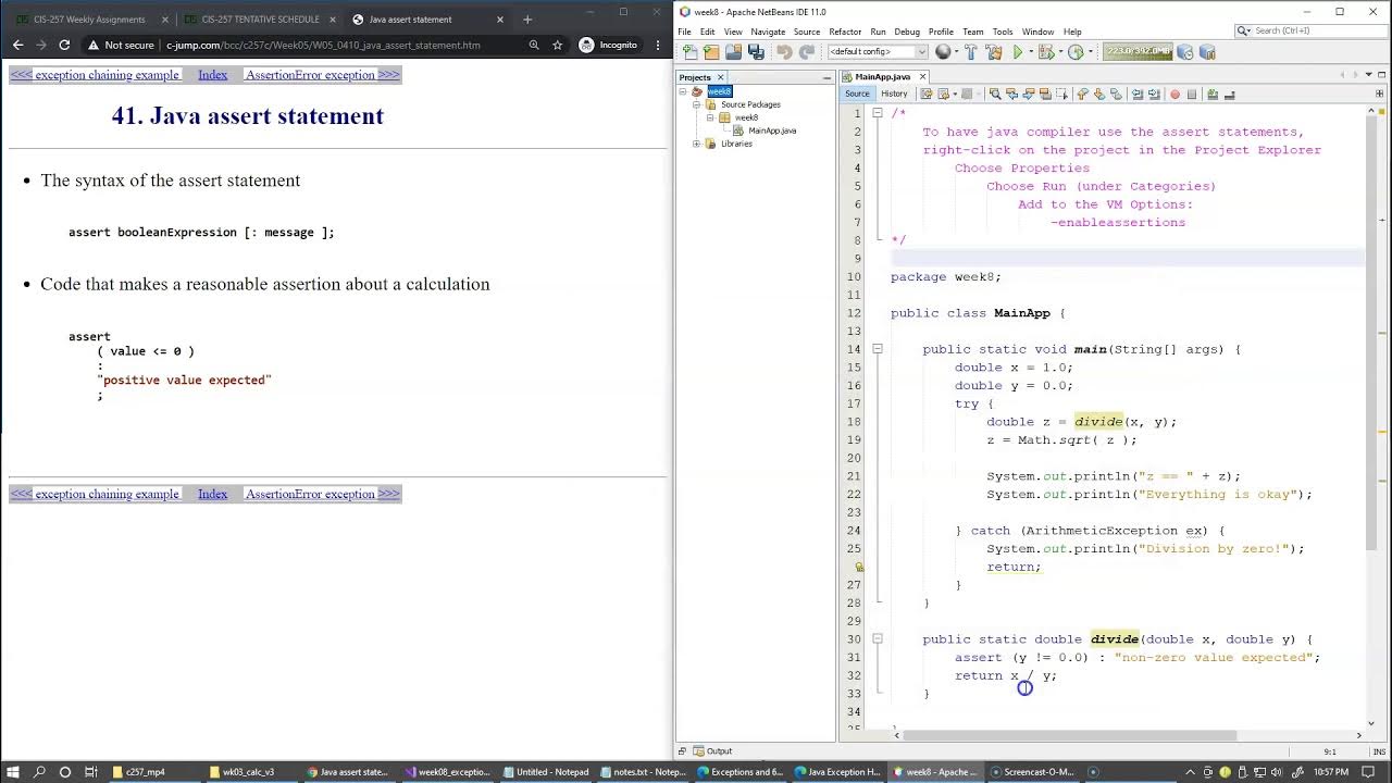 8.9 Java assert statement and AssertionError exception - YouTube