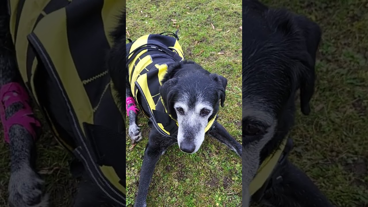 Dona's 12 -Uhr Runde am 28.2.26