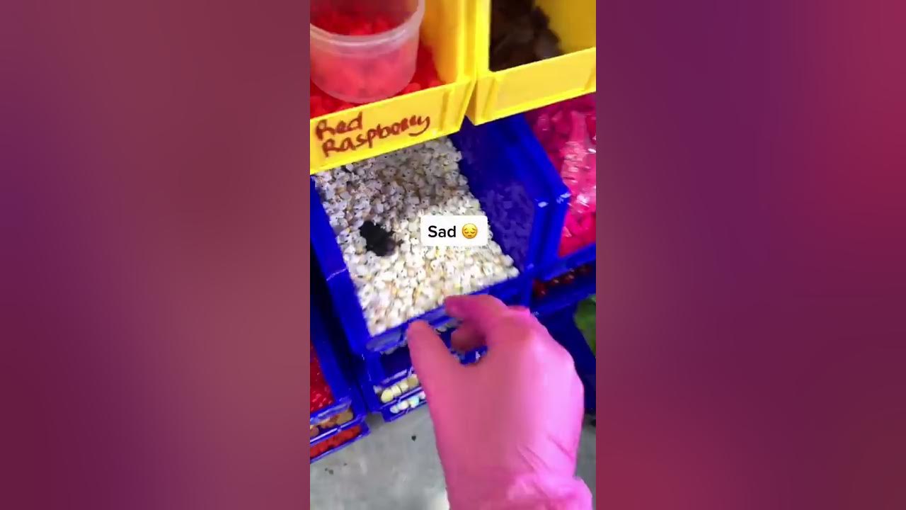 Things I Think At Peachybbies Warehouse YouTube