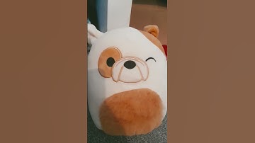 Squishmallow collecter check part 2 #squishmallowcollector #squishmallows #squishy #plushies #plush
