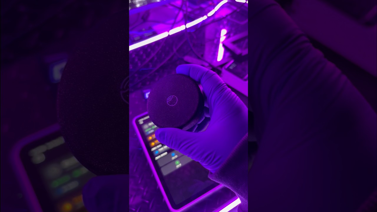 Biscuit Pro & Ultra Update Process is so Easy! ￼#biscuitpro #cybersecurity
