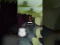 Peeping Tom Caught Looking In Kids Window